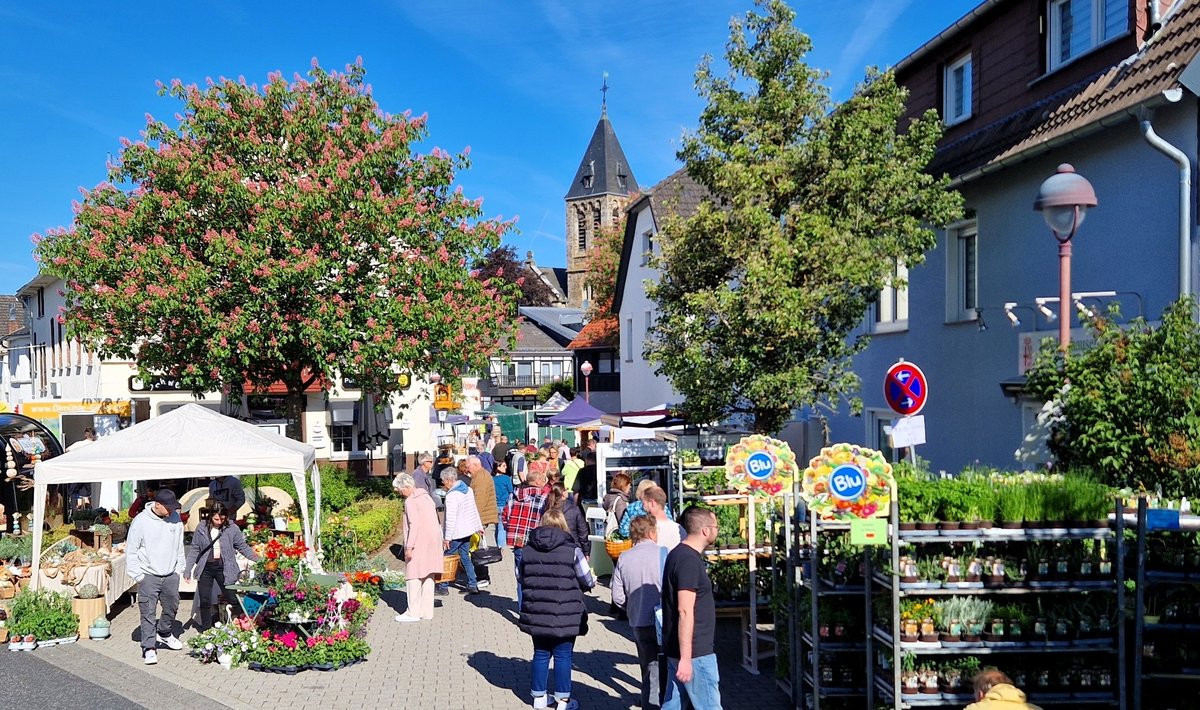 Blumenmarkt 1. 20250510 Blick In Die Kirchstraße Blumenmarkt 1. 20250510 Blick In Die Kirchstraße