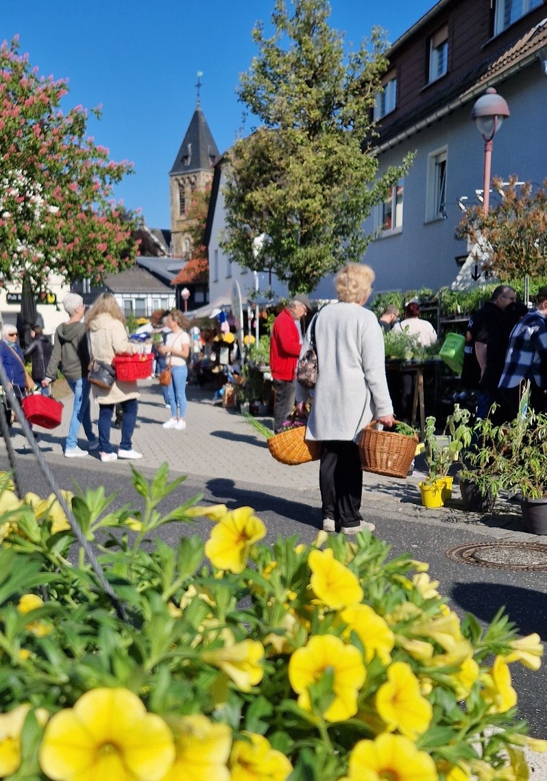 Blumenmarkt 2. 20260509 Markteingang
