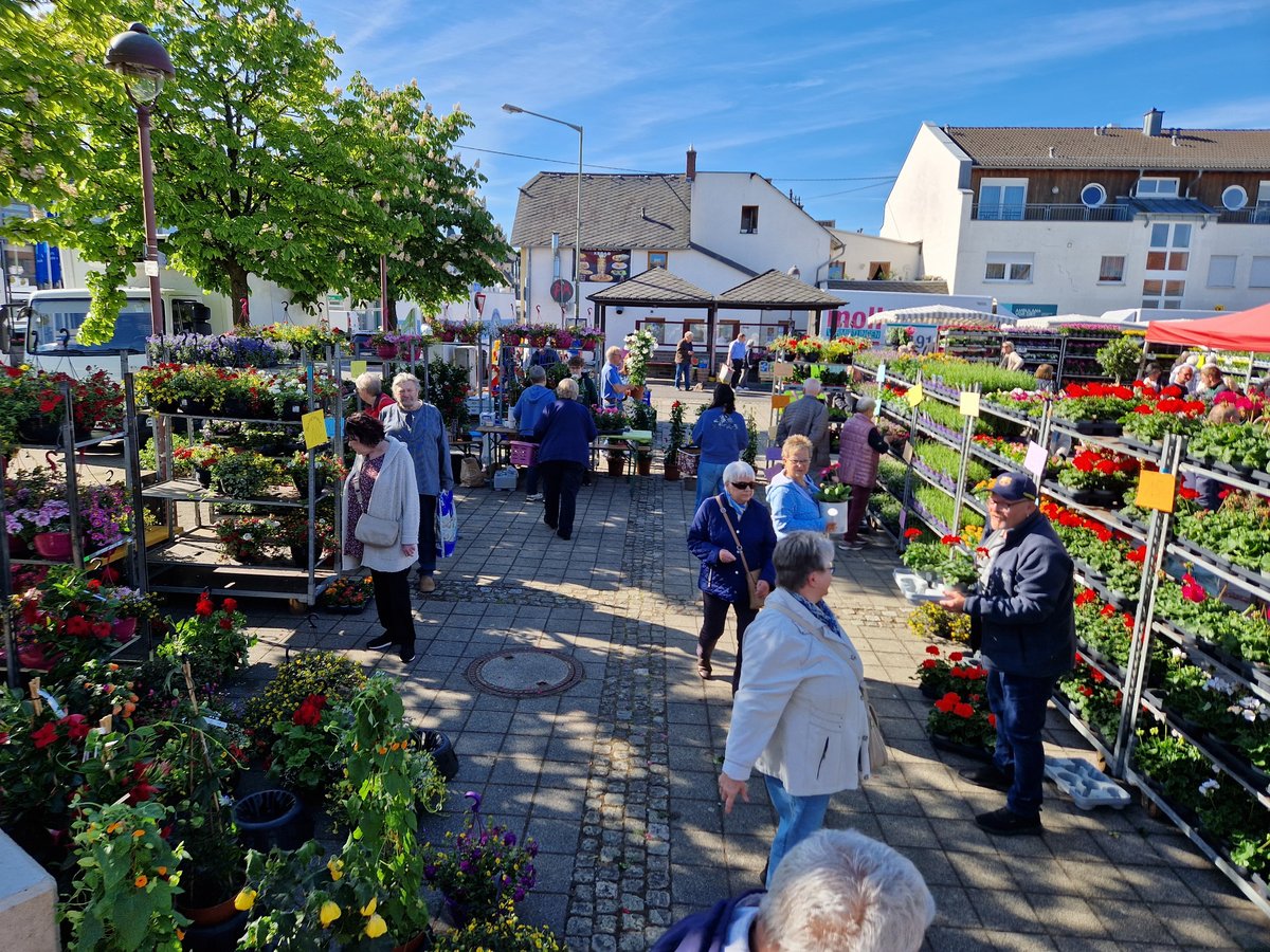 Blumenmarkt 20250510 093150 Blumenmarkt 20250510 093150