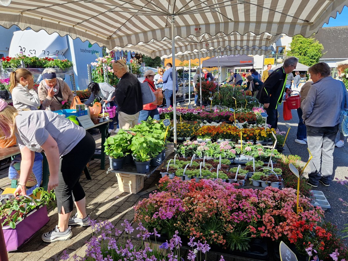 Blumenmarkt 20250510 093457 Blumenmarkt 20250510 093457