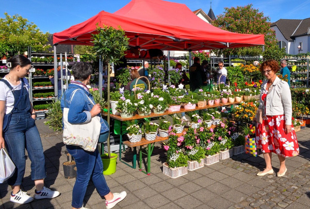 Blumenmarkt Mohr Foto Marktgeschehen Blumenmarkt Mohr Foto Marktgeschehen